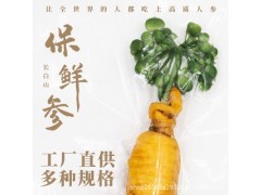現(xiàn)代農(nóng)業(yè)產(chǎn)業(yè)鏈全景圖 從田間到餐桌的多元生態(tài)